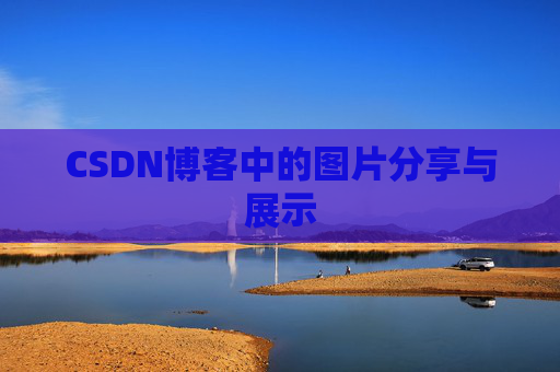 CSDN博客中的图片分享与展示